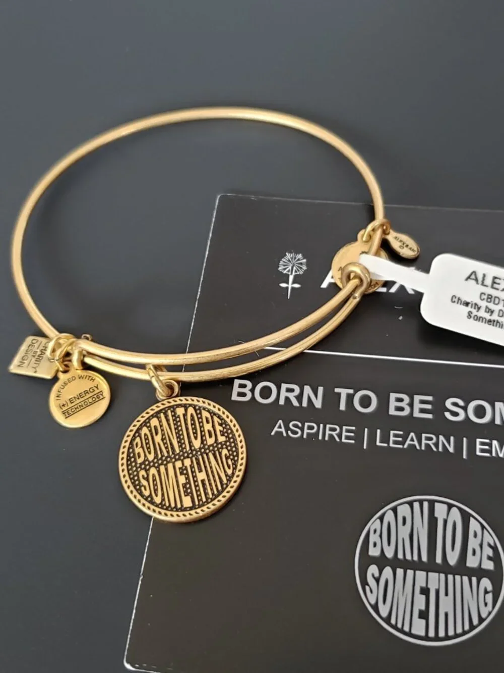 NWT Alex and Ani “Born to be Something” Bracelet   543